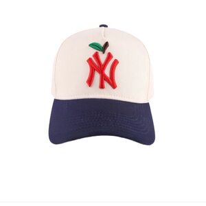 Skout Big Apple NY Snapback Hat